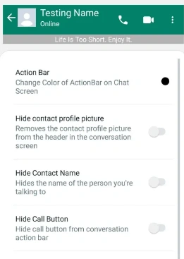 Chat Screen Action Bar