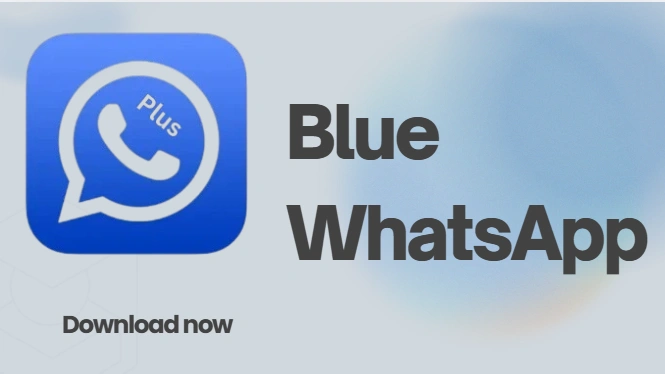 Blue WhatsApp